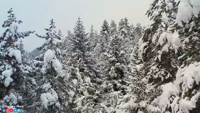 ВОССТАНОВЛЕНИЕ НЕРВНОЙ СИСТЕМЫ ? лечебная музыка для сердца и сосудов, релакс, музыка для души смотреть онлайн