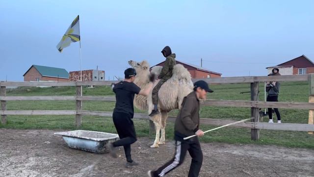 Ойратка смотреть онлайн