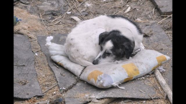 ВИДЕО ПРО ПРИЮТ смотреть онлайн