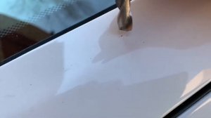 Как убрать рыжики на кузове из под краски пока они не вышли.