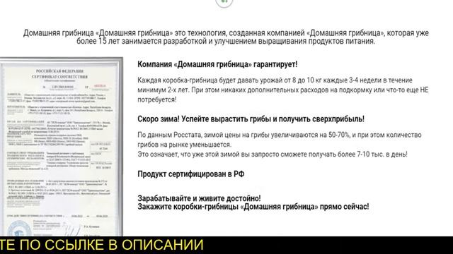 Домашняя грибница смотреть онлайн