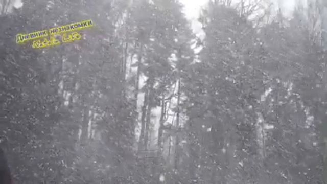 Волшебство зимней сказки❄️⛄?