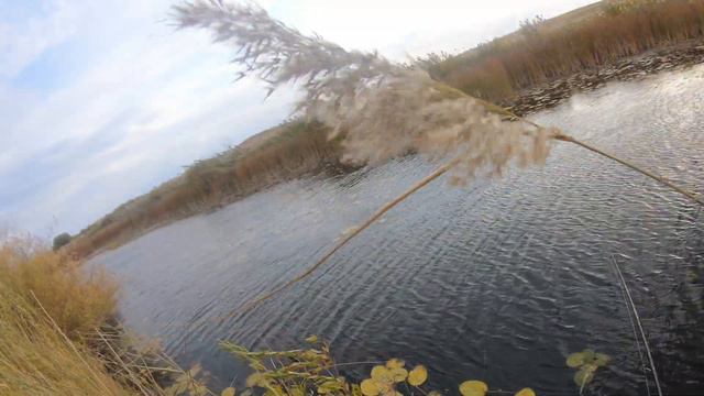 ЭХ СОРВАЛАСЬ ТОРПЕДА.Выезд за хищником на Шенбер.День второй. смотреть онлайн