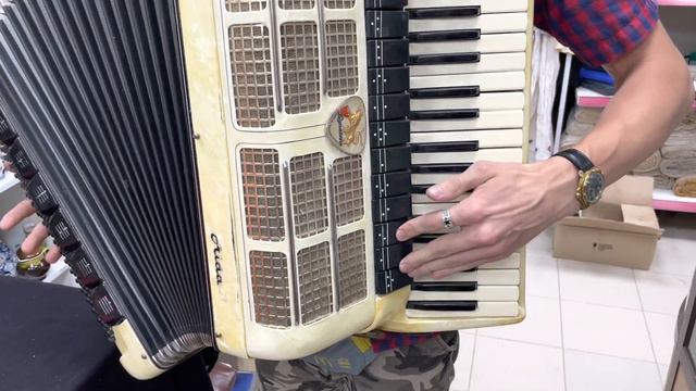 Аккордеон Lignatone Aida 3