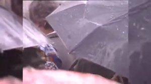 Чудеса и Помощь  Блаженная Ксения Петербургская  Фильм