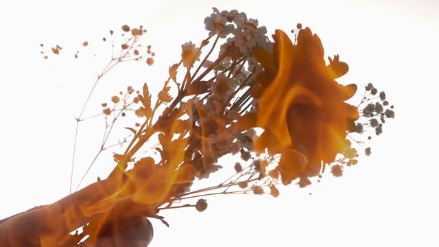 Future Palace Dead Inside