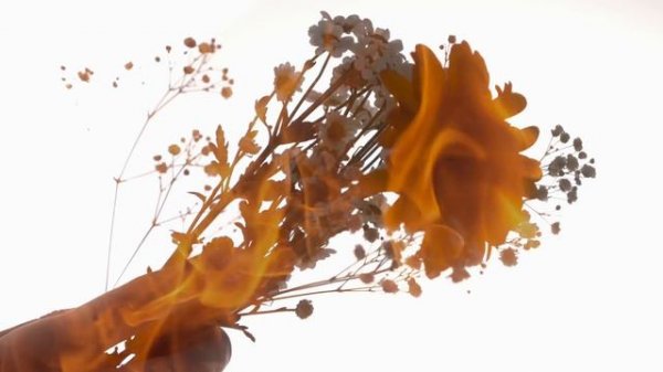 Future palace dead inside