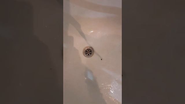 Как избавиться от засора в ванной за 100 рублей смотреть онлайн