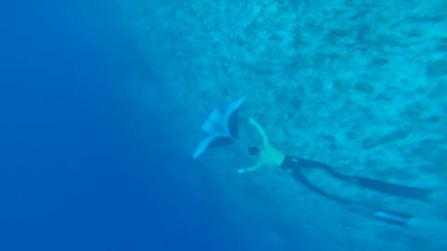 Моя первая манта! смотреть онлайн