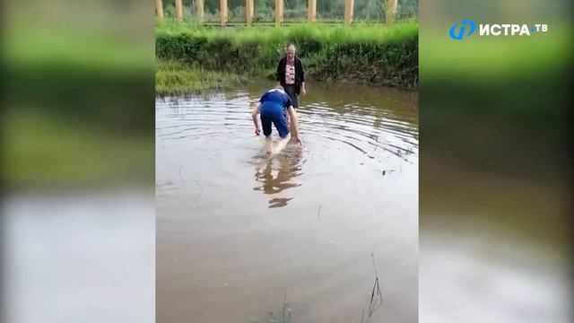 Istra Stories: Ловля рыбки тележкой смотреть онлайн