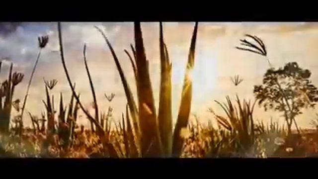 Aloe vera company смотреть онлайн