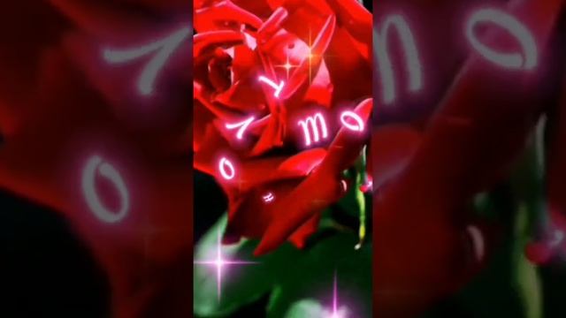 Эти розы ??? для тебя! Любимая! ❤❤❤ смотреть онлайн