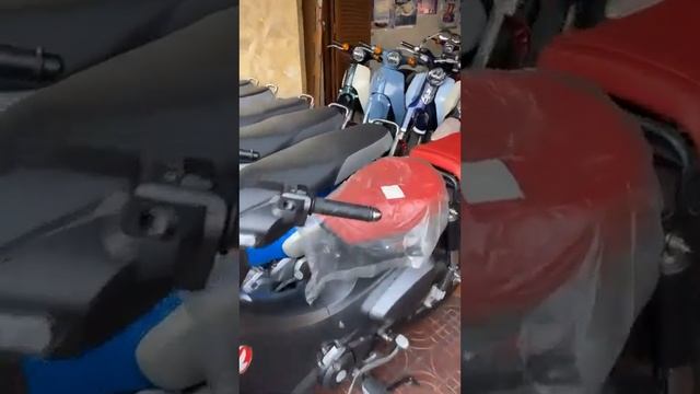 ស្តុក Super cub 125cc - 2018»2019»2020»021»2022 - តំលៃ $2kជាងឡើង смотреть онлайн