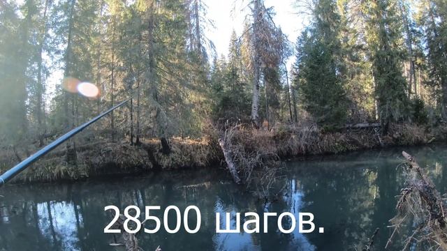 За 2 дня на 3-х речках.Что такое не клюет.Встретился с охотинспекторами. смотреть онлайн