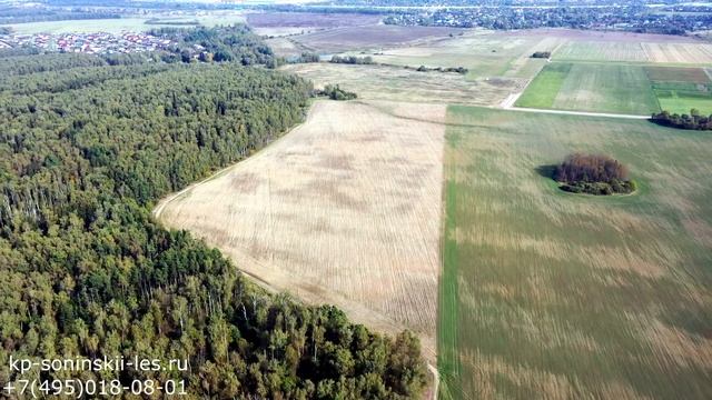 Коттеджный посёлок Сонинский Лес