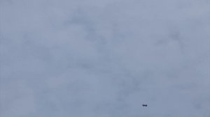 Серпасто-Выворотные голуби. Декабрь 2022.