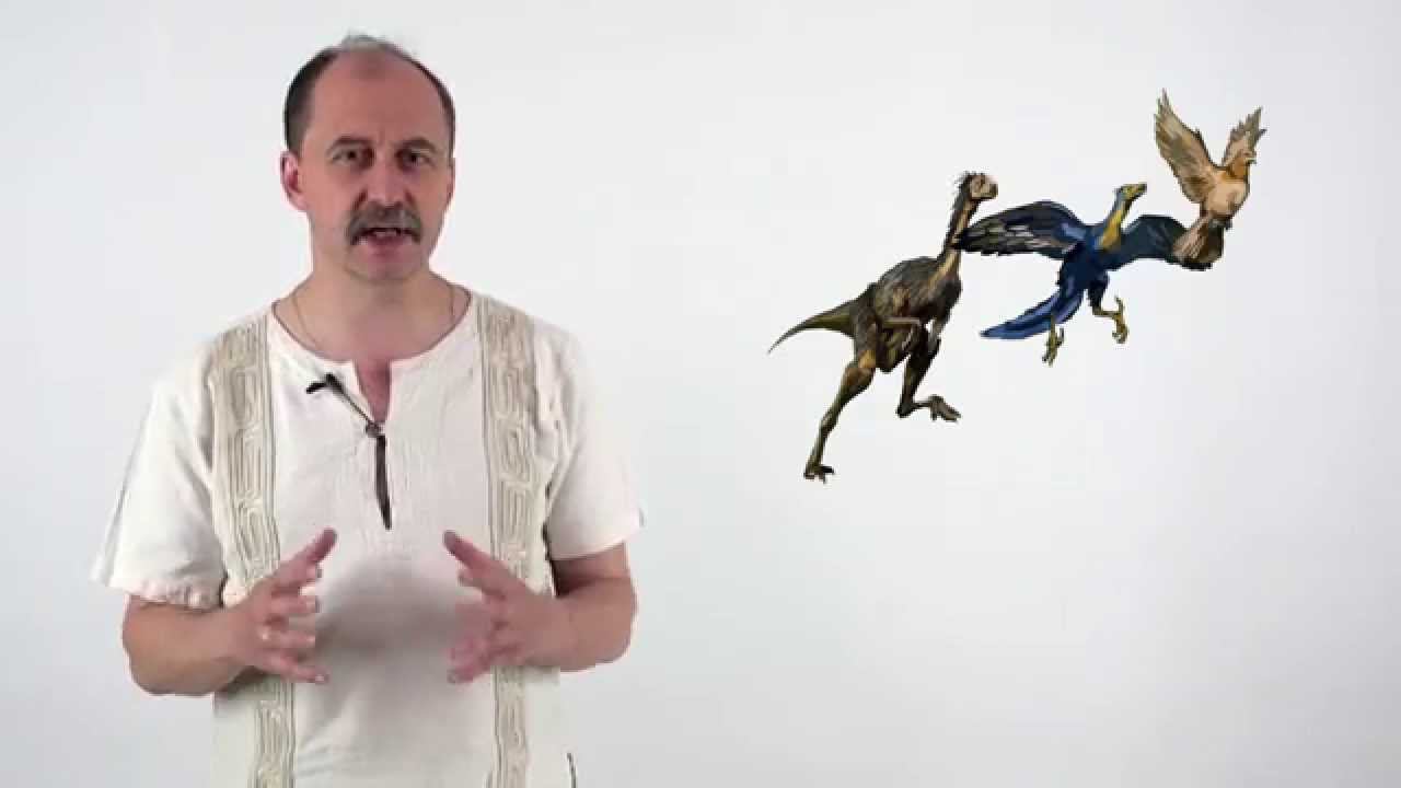 Мусорное биомоделирование. Позвоночные. Часть 3 - Птицы. смотреть онлайн