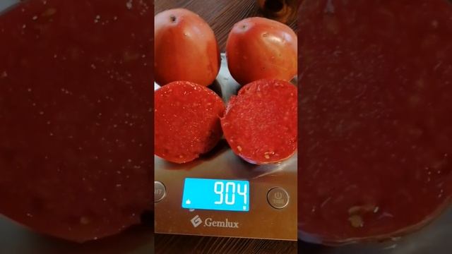 ТОМАТЫ СОРТОВЫЕ ГОВЯДИНА С КУСТА 2022 Г ВАЦАП ДЛЯ ЗАКАЗА КАТАЛОГА 89152458159 ПИСЬМЕННО смотреть онлайн