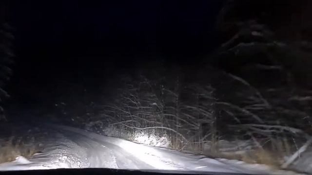 Ночная зимняя дорога из Масельги в Морщихинскую. Кенозерский национальный парк. смотреть онлайн