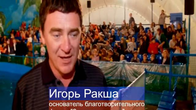 Дельфинарий смотреть онлайн