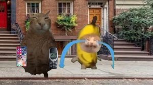 Banana Cat mom Getting Angry ? on Banana Cat? #bananacat #happycats