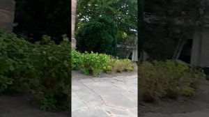 церковь г.Лар Германия