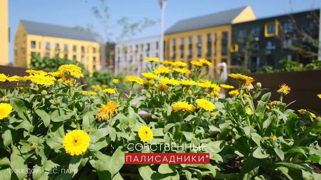 Партнер-Строй: счастье — это смотреть онлайн