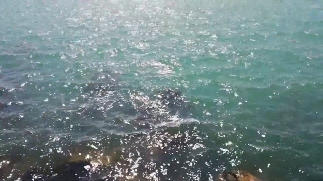 PIANODELICA - Old Boomer смотреть онлайн