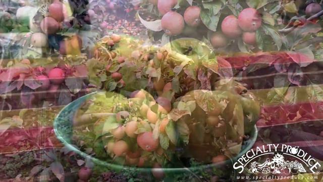 Produce Bites - Hidden Rose Apples смотреть онлайн