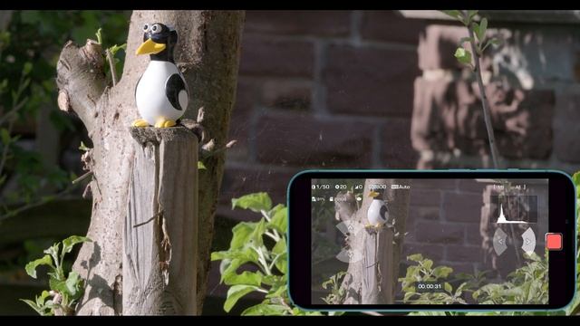Benro Polaris Video Mode смотреть онлайн