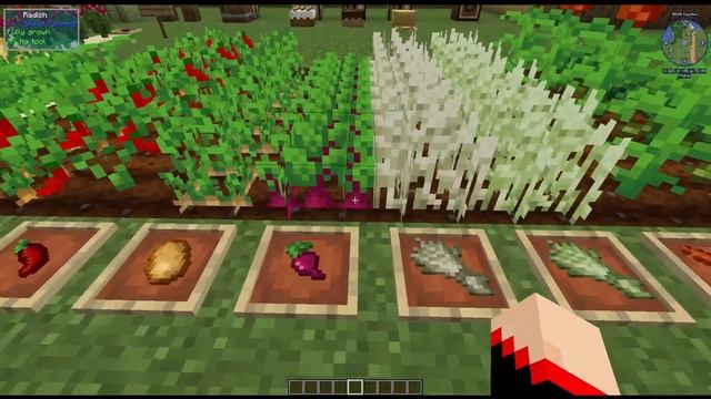 Simple Farming 1.16.5 Mod Spotlight ~ Part 1 Crops & Trees + More ~ Minecraft Mod Spotlight смотреть онлайн