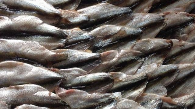 Рецепты от шеф-повара