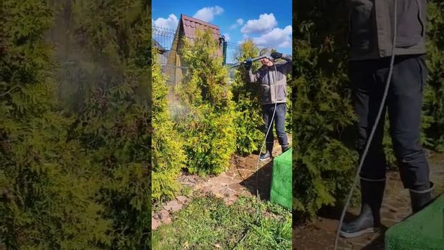 Чистка туй керхером смотреть онлайн