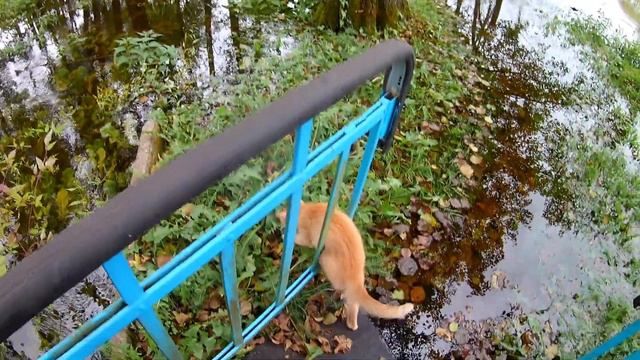 Только осень, и ничего более... смотреть онлайн