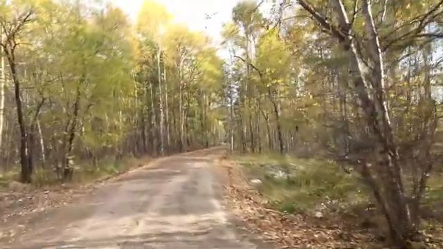 Комсомольск-на-Амуре Парк "Металлургов" смотреть онлайн