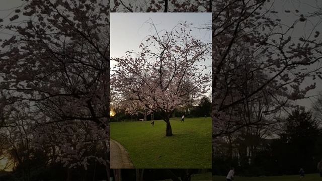 Прекрасный город Бохум и отель "Renaissance Bochum Hotel" смотреть онлайн