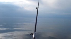 Рыбалка в Морском Крым 7978 976 81 23