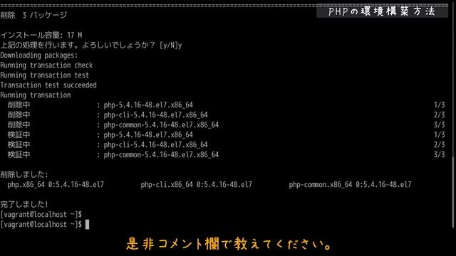 【プログラム講座】第1回：Python、PHP、Go言語それぞれの開発環境を構築しよう【PGPプロジェクト】 смотреть онлайн