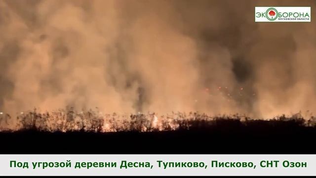 Новая Москва - загорелось поле рядом с Новыми Ватутинками смотреть онлайн