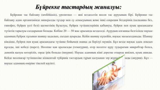 Бүйрек жұмысына әсер ететін факторлар. 9 сынып смотреть онлайн