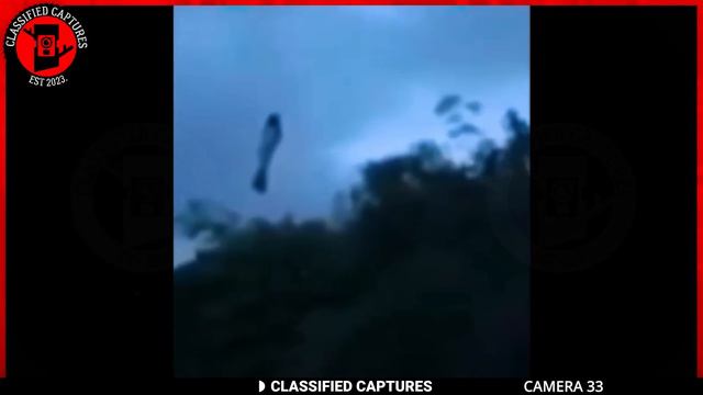 Alarming Trail Cam Footage: You Must See to Believe смотреть онлайн