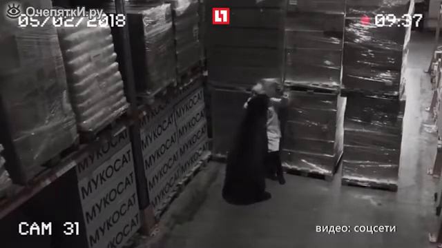 Медведь на складе смотреть онлайн