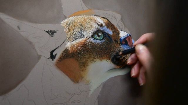 Drawing a Realistic Caracal | Caracal #1 смотреть онлайн