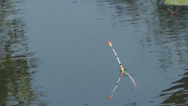 Рыбалка на Маленькой Речке в Подмосковье, ловил УКЛЕЙКУ поплавком и боковым кивком (арбалет) Fishing смотреть онлайн