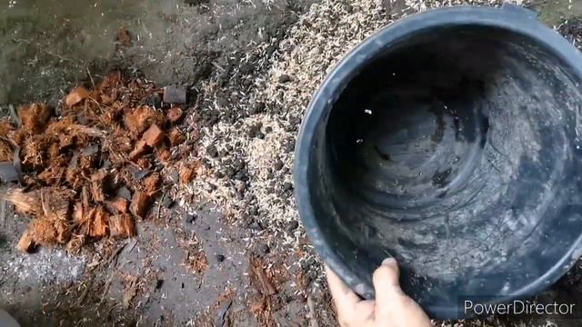 HOW TO PROPAGATE OR PLANT MOONLIGHT CUTTING AT HOME смотреть онлайн