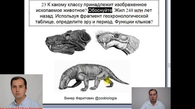 Разбор задания линии 23 ЕГЭ по биологии 2021 года о зверозубом ящере. К какому классу относится? смотреть онлайн