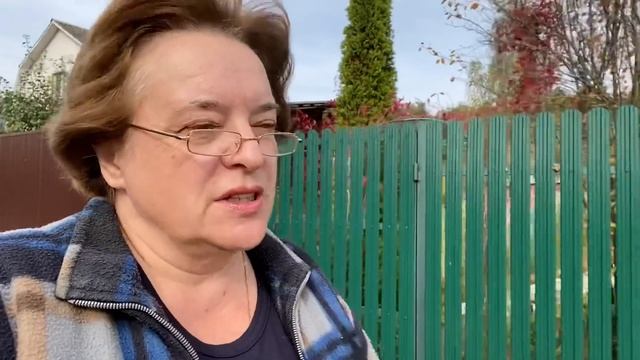 ВЛОГ Чужие долги повесили на нас ? / СНТ / У Оли на участке / Опять стройка 3 октября 2020 г. смотреть онлайн