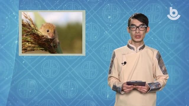 Сагаалганаа угтуулан. Һайндэрэй нэрын бии болоһон тухай смотреть онлайн