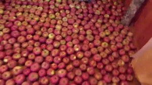 ? Лучший способ хранения яблок. How to store apples in the winter. Как хранить яблоки зимой.