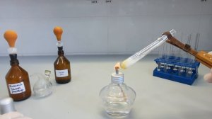 Ксантопротеиновая реакция